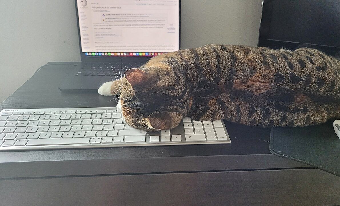 A tabby cat asleep across a keyboard on a home office desk